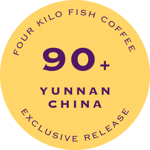 FOUR KILO FISH FILTER CHINA YUNNAN ZUOYUAN GEISHA, TRADITIONAL NATURAL